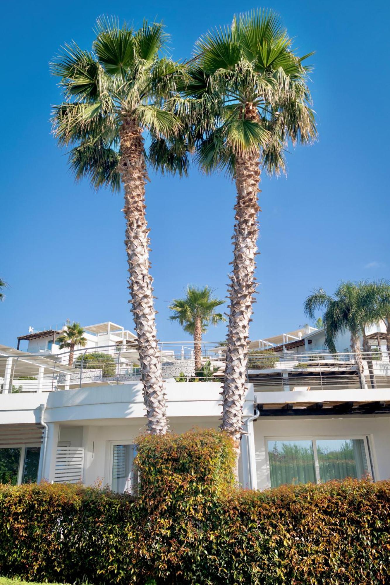 Infinity Resort Tropea Parghelia Exteriér fotografie